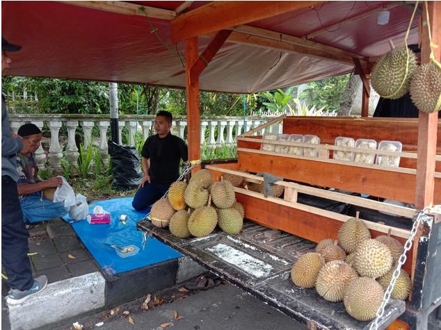 Durian Lokal Baduy, Kelezatan Gurih dan Manis Terjangkau di Sumedang